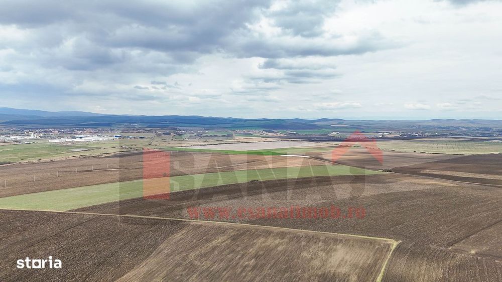 Ocazie | Teren 50.400 mp | Sura Mica | Investitie / dezvoltare |VIDEO