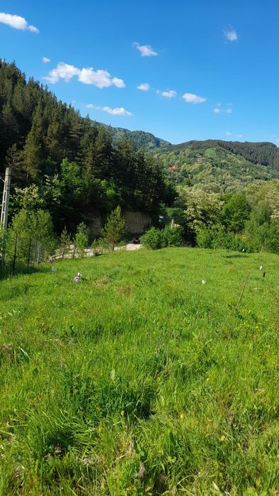 Teren  de vanzare 4000mp in Lopatari