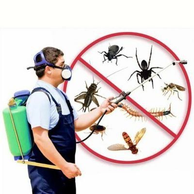 Dezinfeksiya xizmati