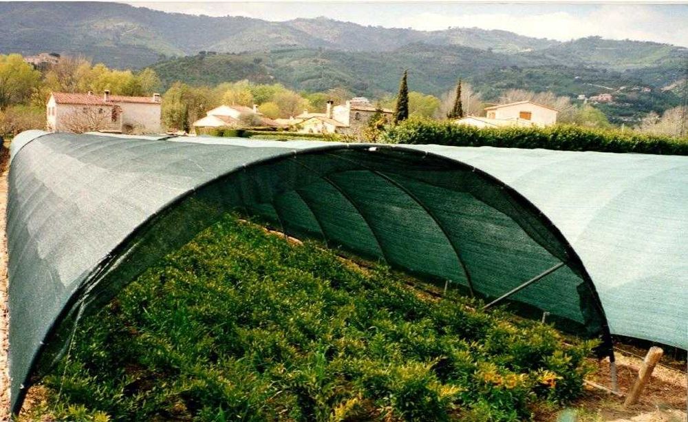 Plasa antivant/gard 2x10m/2x25m/2x50m (verde, ochiuri intarite)