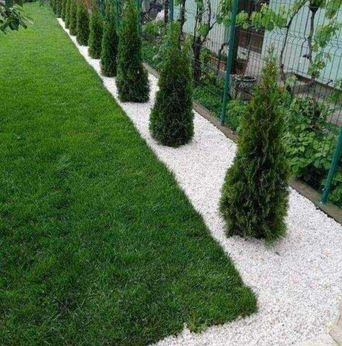 Gazon Rulou Premium pe stoc, Verde Crud - Craiova Dedeman - 29 Lei Mp