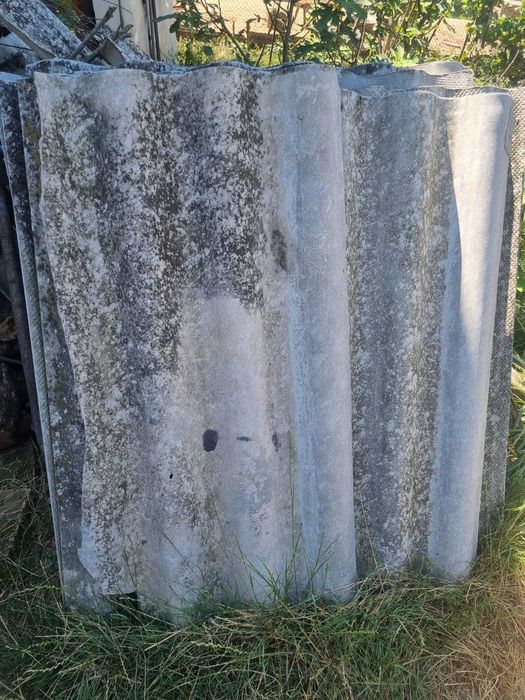 Placi pentru acoperis animale su alte anexe. Gratuit