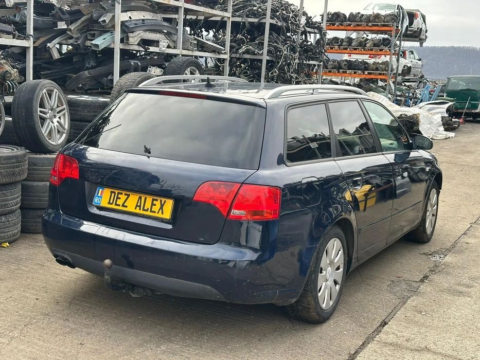 Dezmembrari Audi A4 B7 2.0TDI / BPW