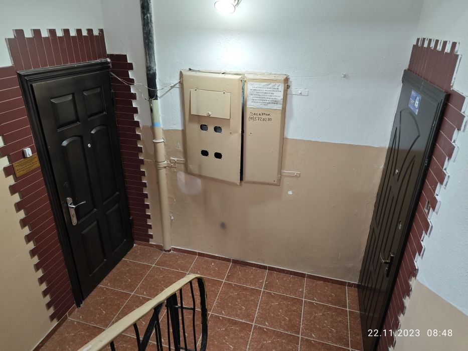 Квартира 5: комнатная в Алгоритмы с ремонта