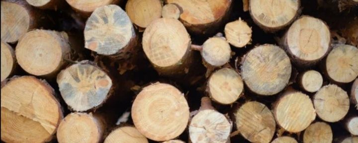 Продам кругляк! (В Кокшетау.).