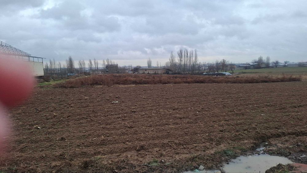 срочно Назарбекда 35 сотих ер дехқончилик учун ижарага