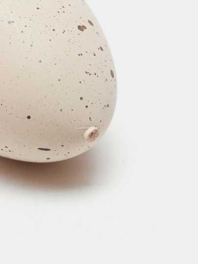 Инкубационные яйца динозавра для детей, 3+, образовательное