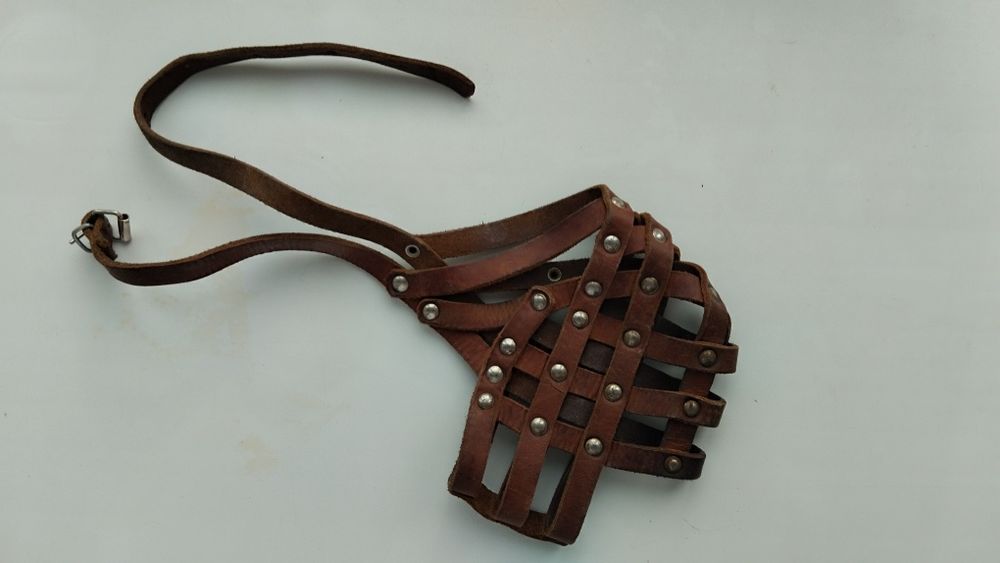 Поводок и намордник для крупной собаки