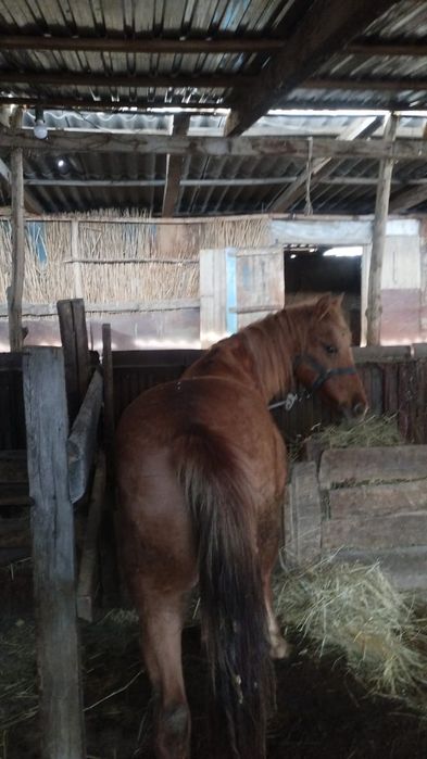 Фитнес нұсқаушысы порно фотосуреттері