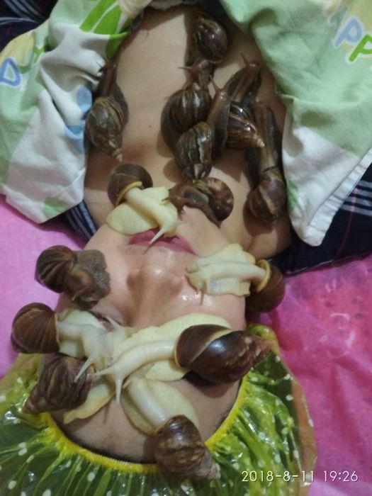 Улиткалар сотувда!