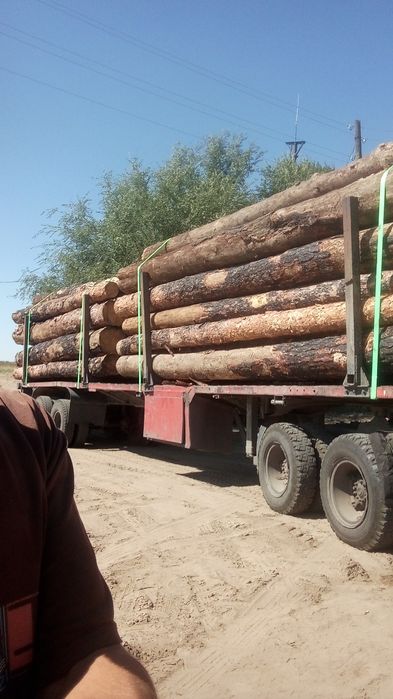 КамАЗ Даймон.Лесовоз