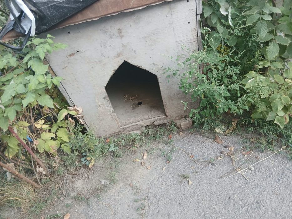 Продам будка для собаки