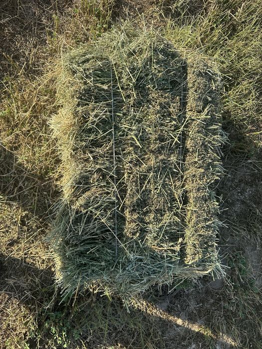 Beda press 40mingdan