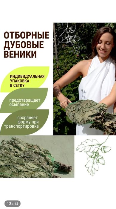 Веники для бани дубовые