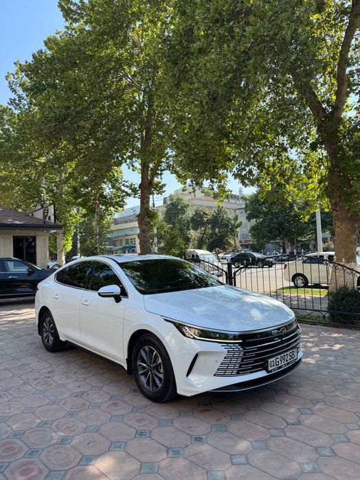 BYD Chazor 55 km