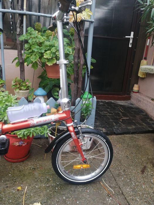 Bicii pliabila pegas Teoretic 16"