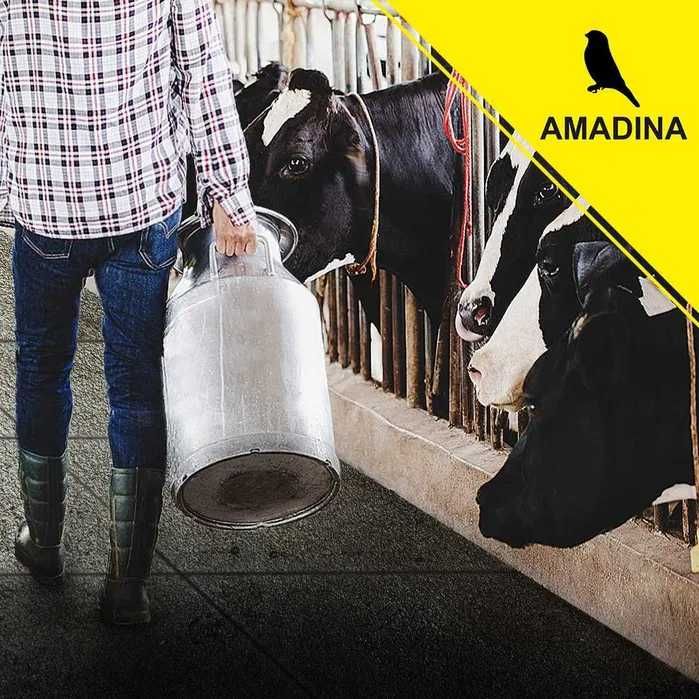 Резиновая плитка для покрытия конюшни и фермерского хозяйство