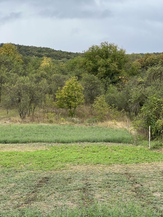 Proprietar vând teren intravilan in apropiere de Cluj-Napoca