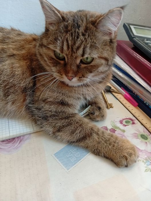 В заботливые руки!!