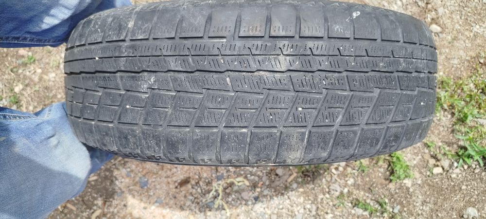 Шина жаздык донгелек