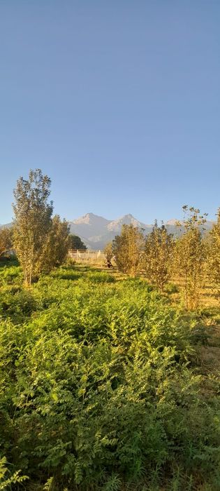 Продам участок 74 соток