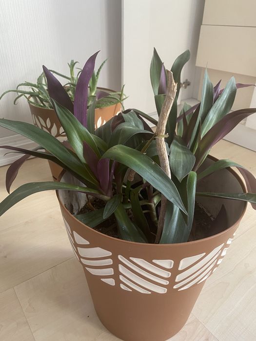 Срочно продам