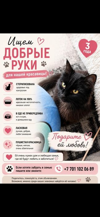 Кошечка в свой дом бесплатно
