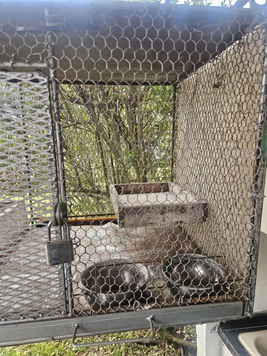 Масивна клетка за птици