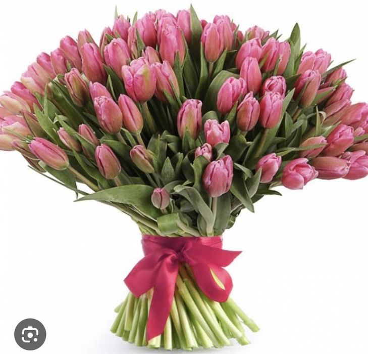 Тюльпаны из голандии