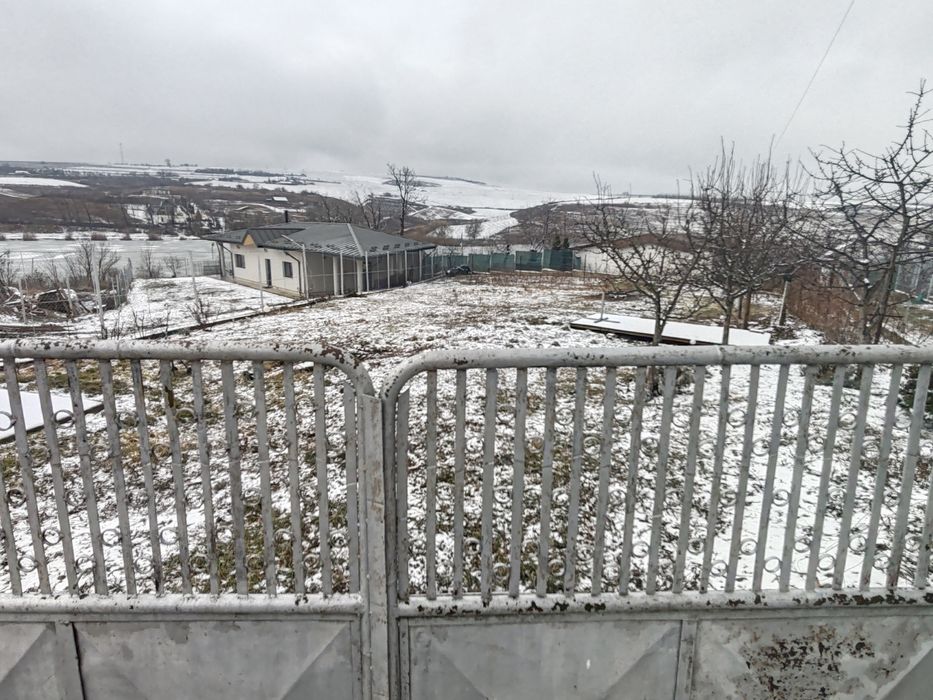 Teren Aroneanu, Dorobanț