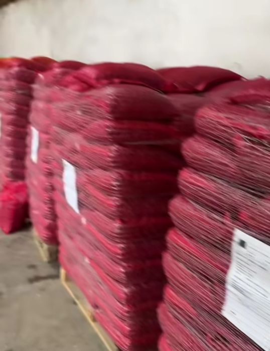 Vând arpagic [seminte de lucerna usturoi