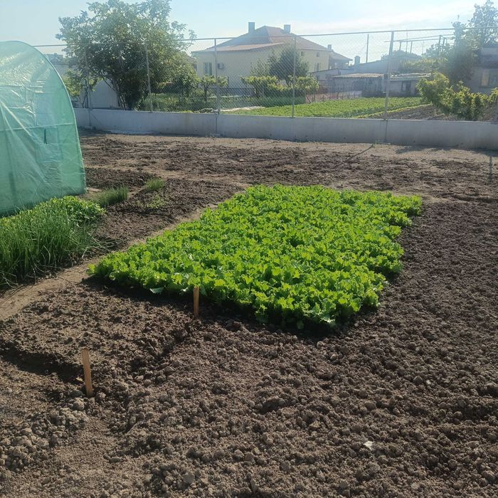 Продава се Парцел в с. Калековец, Област Пловдив - 752 кв.м за 99 €/кв.м - Снимка #11