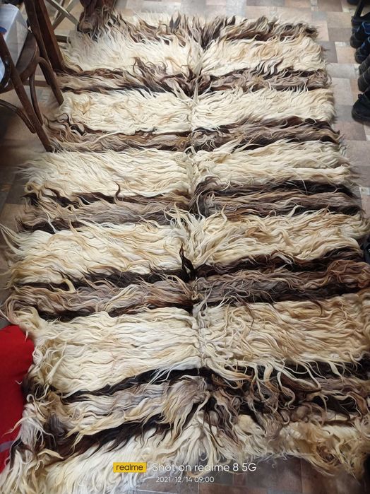 Козяк автентичен трицветен