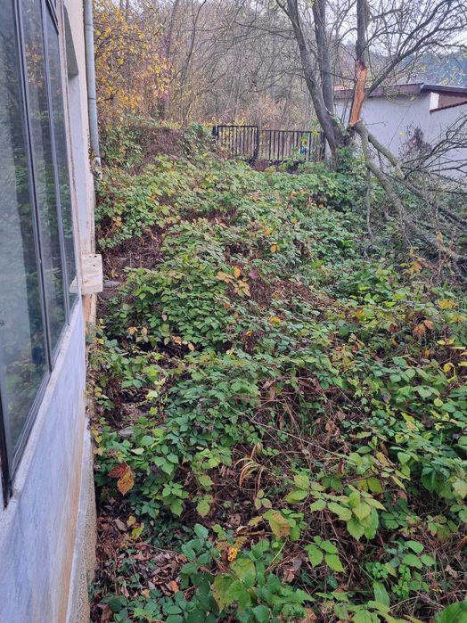 Професионални градинарски услуги
Предлагаме: