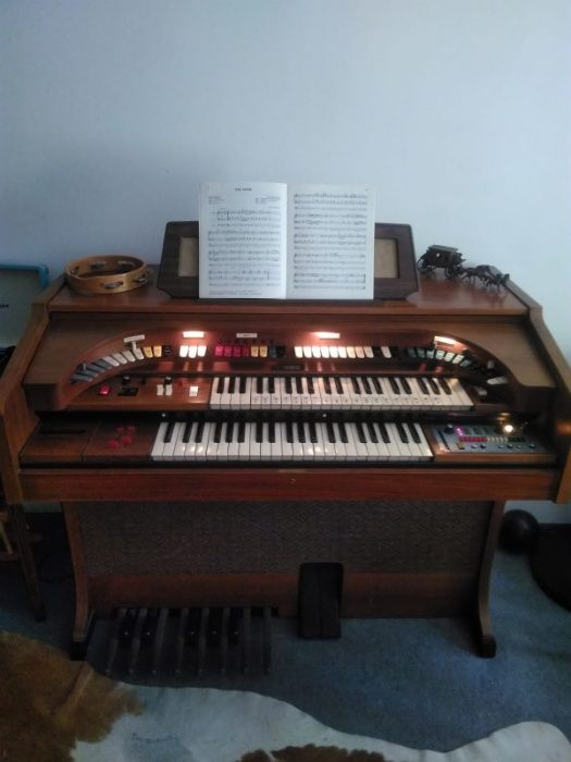 orga electronica