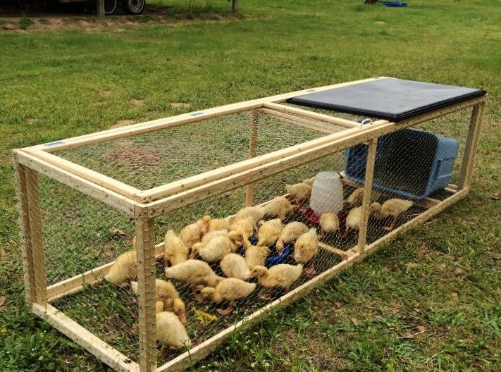 Делаю клетки для кур под заказ