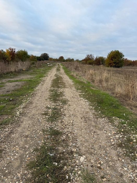 Loturi in rate Com. Cornetu-Jud. Ilfov