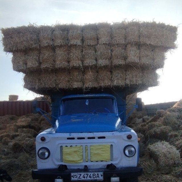 Gaz 53 yili 80 yil 30 million