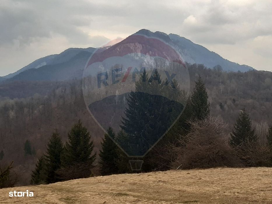 Teren Rasnov, Soseaua Predealului DN73B