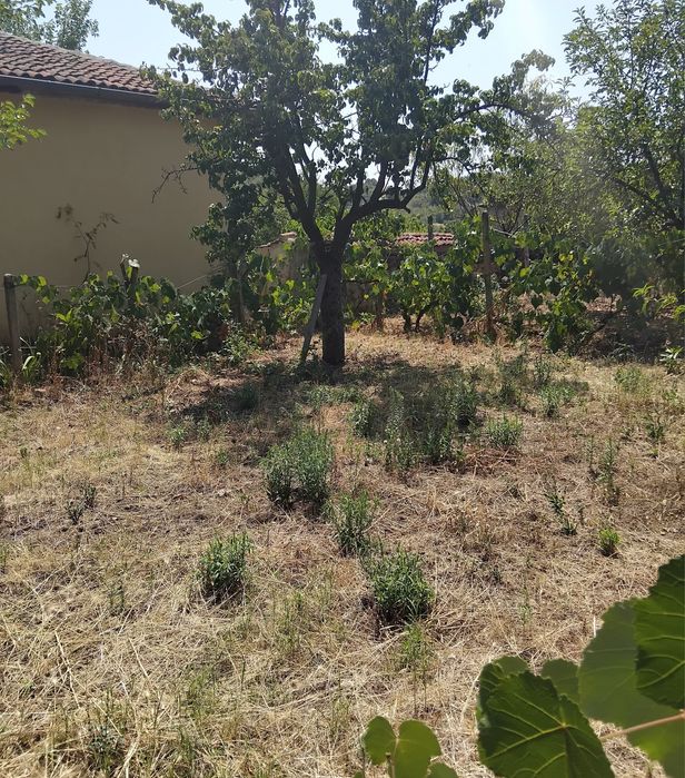 Продава къща в с.Слатино общ.Бобошево