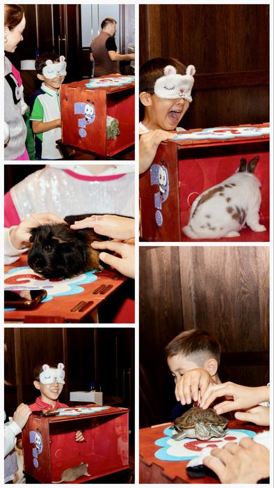 Программа «КОЛЕСО ФОРТУНЫ» с 12 популярными Челленджами!