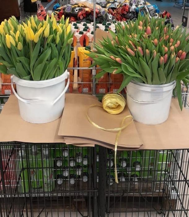 Тюльпаны из Голландии