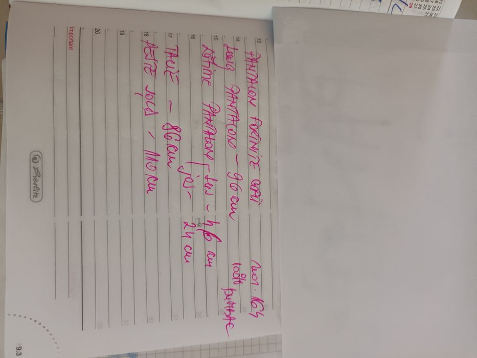 Pantalon de trening Fortnite de băieți marimea 164 cm