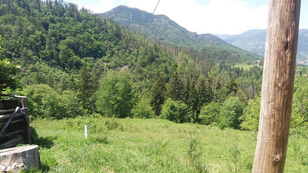 Продава се Земеделски имот в с. Петково, Област Смолян -  кв.м за 10 €/дка - Снимка #4