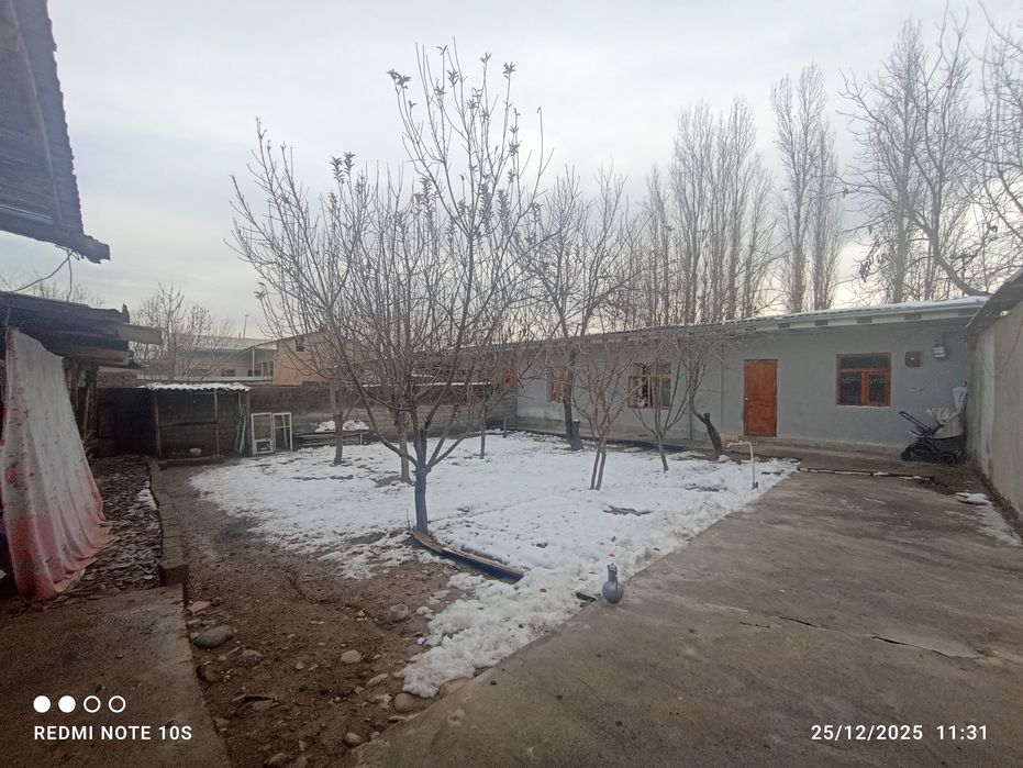 Keles Koʻk-terakda Aftadroʻm koʻchada