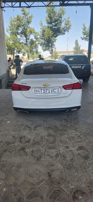 2019 yil 2.4 pirimer qilingan