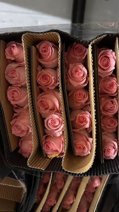 Цветы оптом Розы