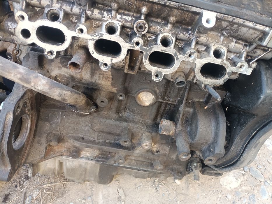 Нексиге маторлар бар