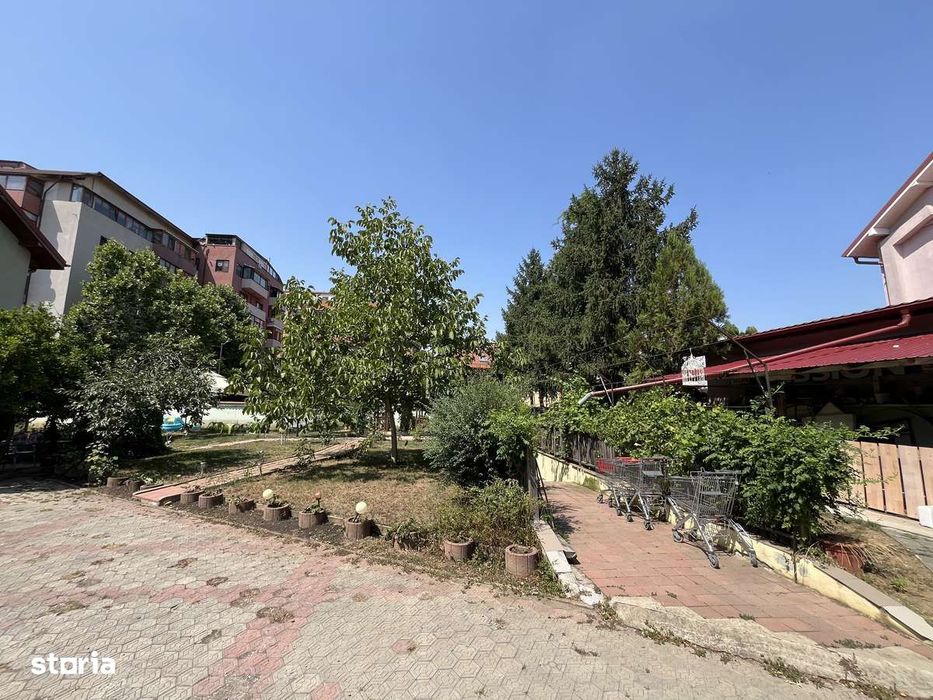 Vila 10 camere + / Valea Oltului / 620 mp utili / 2190 mp curte