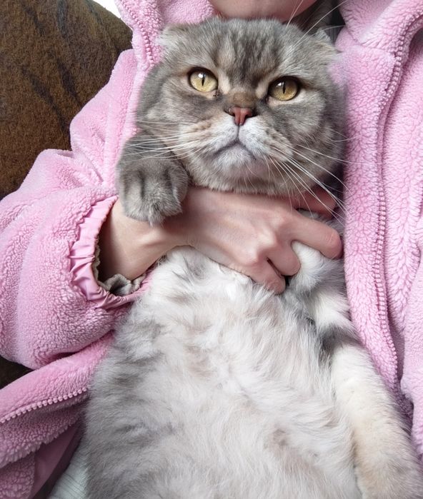 Шотландец ищет дом !